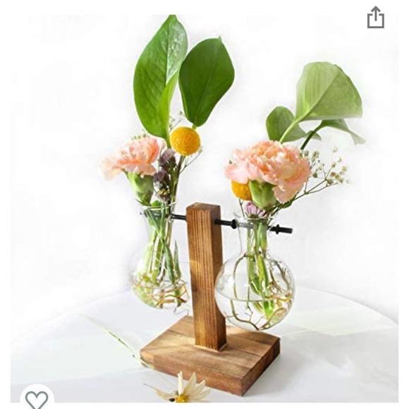 Beautiful Propagation Station - Picture 2 of 4